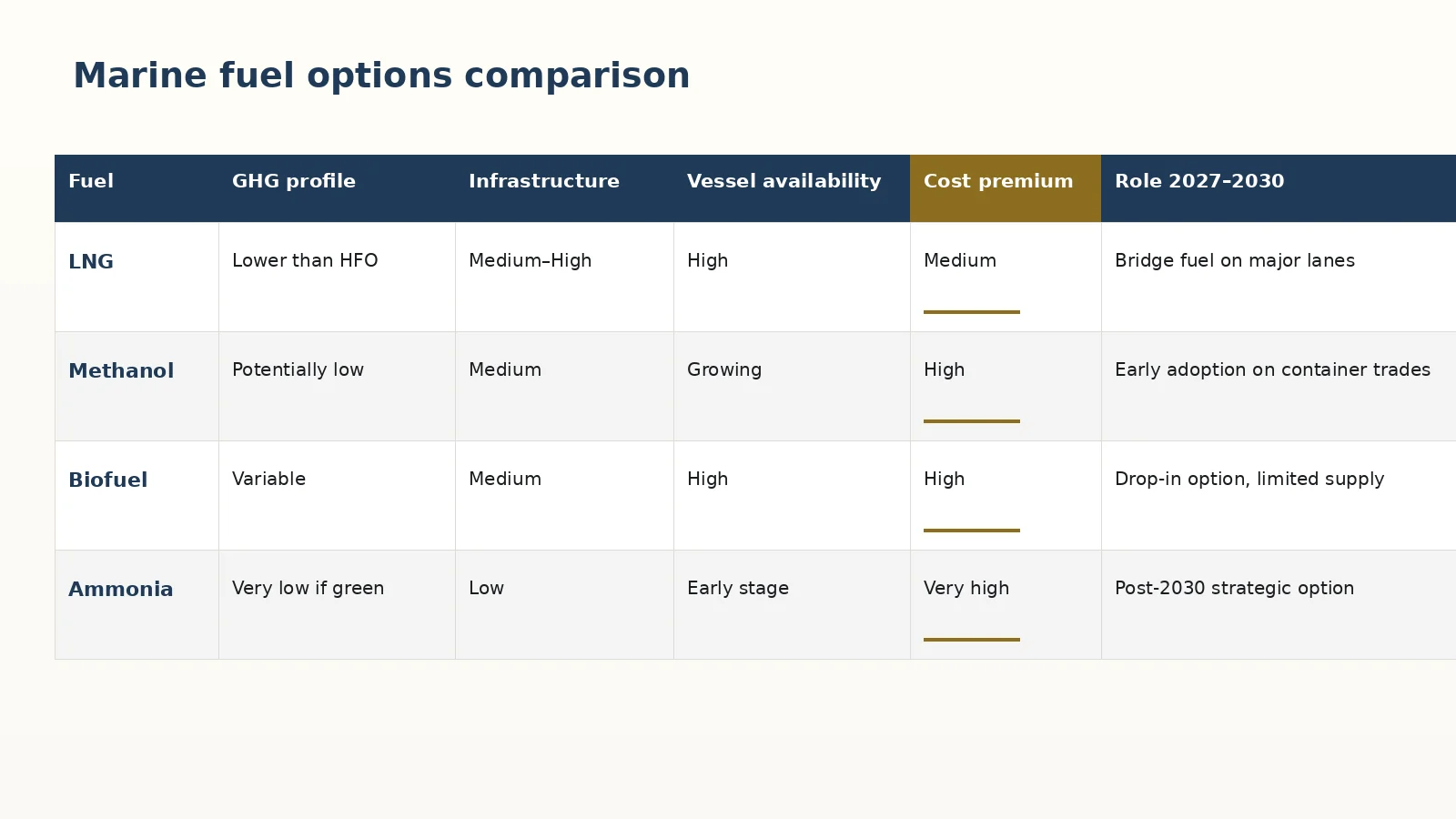 Marine fuel options comparison LNG methanol biofuel ammonia